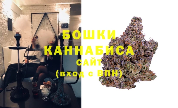 бошки Пересвет