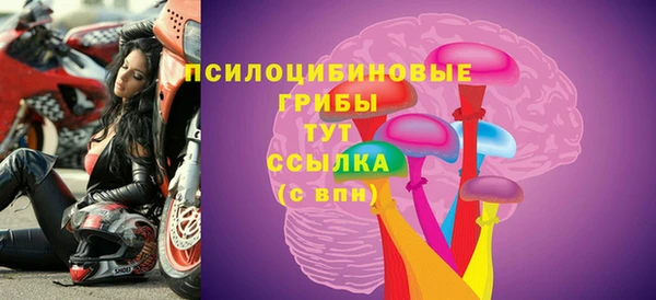 mdpv Переславль-Залесский