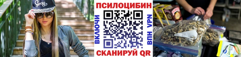 Псилоцибиновые грибы мицелий сколько стоит Истра